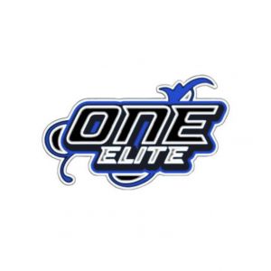 One Elite All-Star Cheerleading Summer Camps