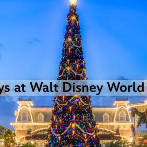 Walt Disney World Resorts Holiday Magic