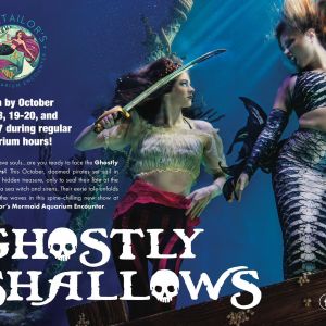 Mertailors Mermaid Aquarium Encounter Halloween Spooktacular