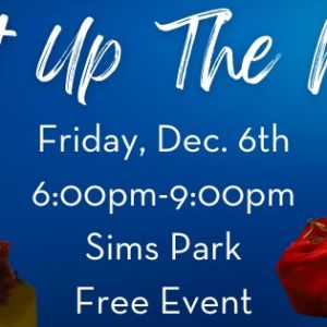 Sims Park Light up the Night Tree Lighting