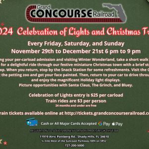 Celebration of Lights at The Concourse