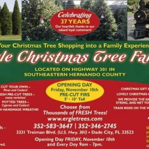Ergle Christmas Tree Farm