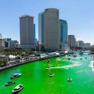 Tampa River 'O Green Festival