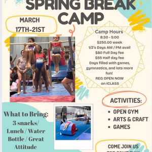 Bay Area Gymnastic Spring Break Camp