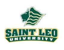Saint Leo University Lions Youth Baseball Summer Camp