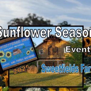 Sweetfields Farm Sunflower Season