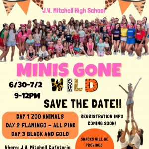 Mini Mustang Cheer Camp