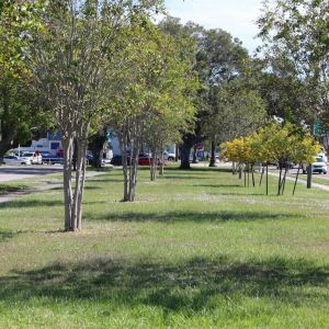 Plaza Park