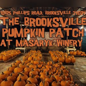 Brooksville Pumpkin Patch