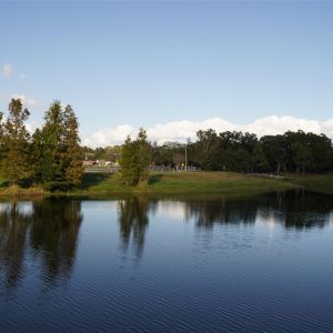 Cliff Stephens Park