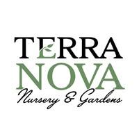 Terra Nova Nursery and Garden Pumpkin Carving Contest