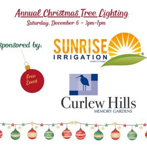 Palm Harbor Christmas Extravaganza