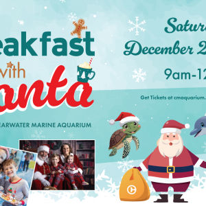 Clearwater Marine Aquarium Breakfast with Santa