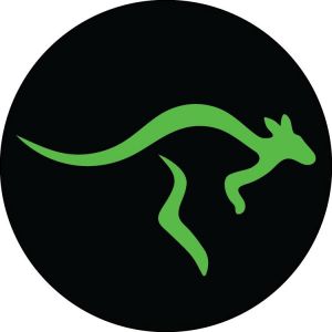 Launch Family Entertainment Thanksgiving Camp