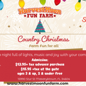 HarvestMoon Fun Farm Country Christmas