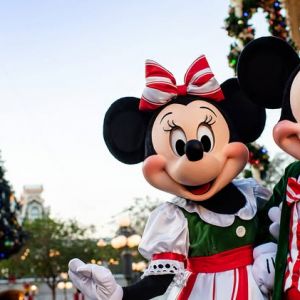 Walt Disney World Resort Holidays
