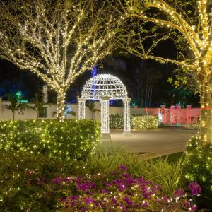 Florida Botanical Gardens Holiday Lights in the Gardens
