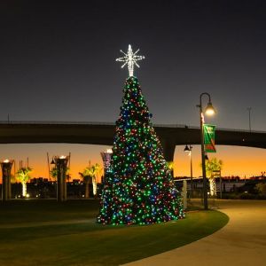City of Clearwater Tree Lighting