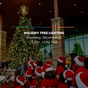 City of Dunedin Tree Lighting