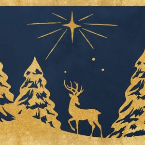 Ruth Eckerd Hall- Michael W. Smith Christmas