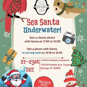 Tarpon Springs Aquarium Sea Santa Underwater