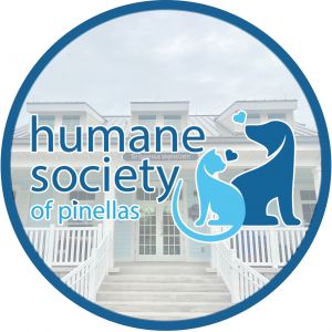 Humane Society of Pinellas Winter Break Camp