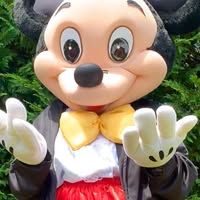 Tampa Birthday Party Characters