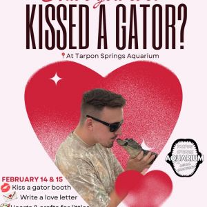 Tarpon Springs Aquarium Kiss a Gator for Valentine's Day
