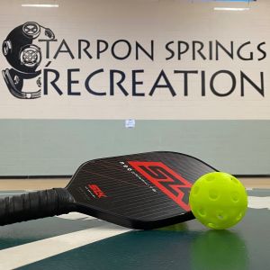 Tarpon Springs Recreational Center - Summer Camp