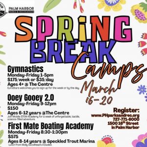 Palm Harbor Spring Break Camps