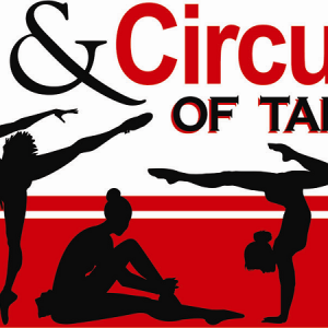 Dance and Circus Arts of Tampa Bay - Teen Summer Circus Arts