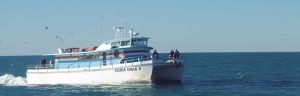 Double Eagle Deep Sea Fishing