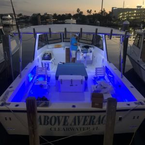 Above Average Deep Sea & Sport Fishing Charters