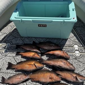 Island Time Family Charters