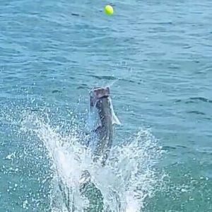 Skinny Water Charters
