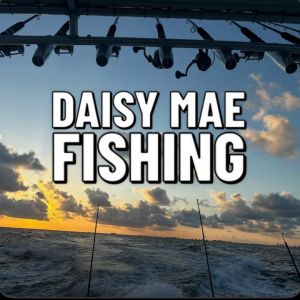 Daisy Mae Fishing Charters
