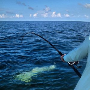 Inshore Fishing Charters with Captain Jim Bennett