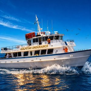 Gulfstar Deep Sea Fishing