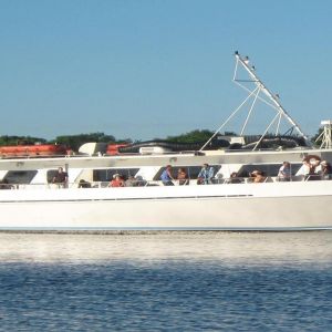 Dolphin Deep Sea Fishing -Two Georges