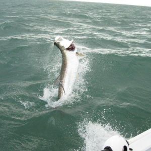 Marine Zone Fishing