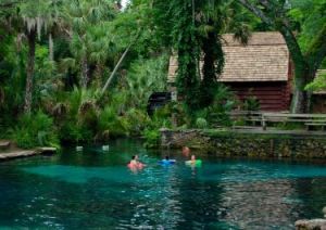 Juniper Springs