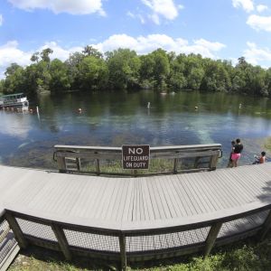 KP Hole Park