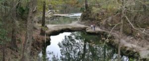 Lafayette Blue Springs State Park