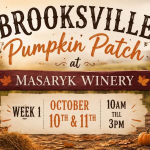 Brooksville Pumpkin Patch