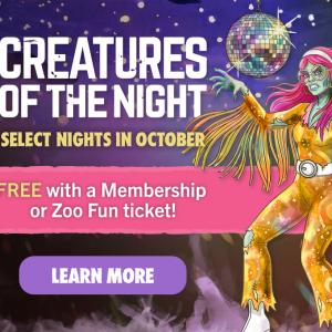 ZooTampa at Lowry Park Creatures of the Night